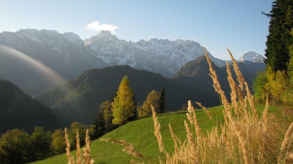 Shepherds House "Alpine Dreams" Villa Solčava Buitenkant foto